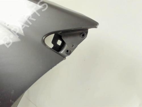 Left front fenders RENAULT LAGUNA III (BT0/1) 2.0 dCi (BT01, BT08, BT09, BT0E, BT0K, BT12, BT1C, BT1D,... | BP20447742C41 