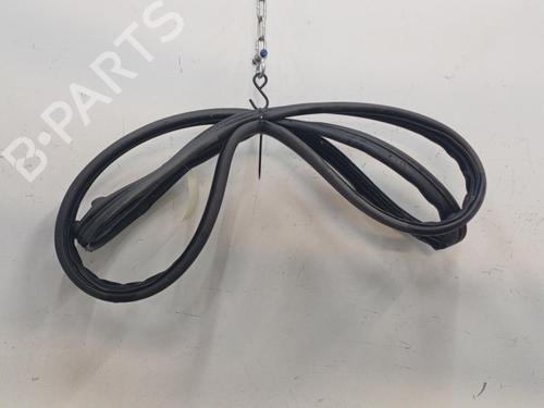 Used Rubber door seal RENAULT SCÉNIC II (JM0/1_) 1.9 dCi (JM14) (131 hp) 20467954
