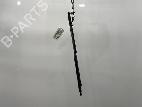 Tailgate lift support RENAULT LAGUNA III Grandtour (KT0/1) 2.0 dCi (KT0M, KT0N, KT0S, KT19, KT1F) 904517086R