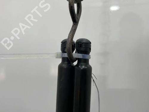Tailgate lift support CITROËN XSARA PICASSO (N68) 1.6 HDi | BP20417167C138 