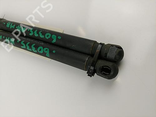 Tailgate lift support DACIA DUSTER (HS_) 1.6 16V Hi-Flex | BP20443099C138 