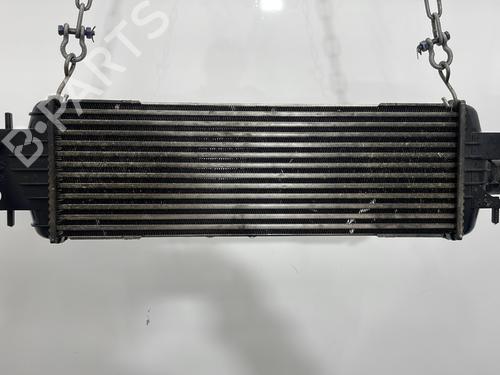 Ladeluftkühler für RENAULT MASTER II Van (FD) 2.5 dCi 120 (FD0M, FD0U, FD0W, FD2M, FD2W, FD3M, FD3U,... (115 hp) 30308393