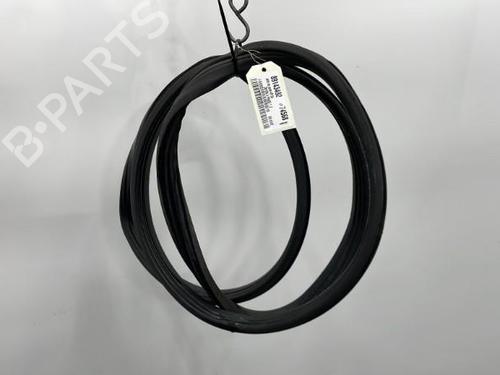 Used Rubber door seal OPEL ZAFIRA A MPV (T98) 2.0 DTI 16V (F75) (101 hp) 20417871