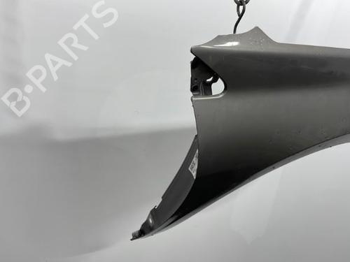 Right front fenders RENAULT LAGUNA III (BT0/1) 1.5 dCi (BT00, BT0A, BT0T, BT1J) | BP20394216C42 
