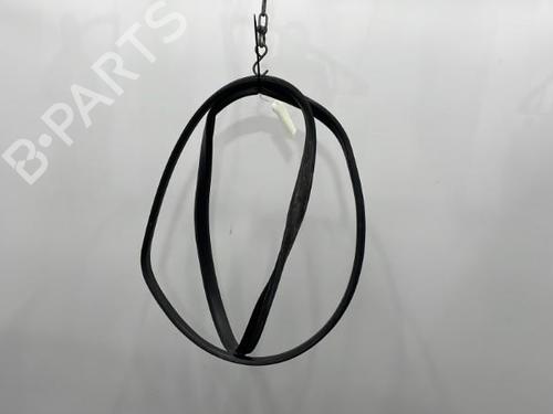 Used Rubber door seal RENAULT SCÉNIC III (JZ0/1_) 1.6 dCi (JZ00, JZ12) (130 hp) 20422147