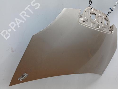 Used Hood LANCIA MUSA (350_) 1.9 D Multijet (350.AXC1A) (101 hp) 20451375