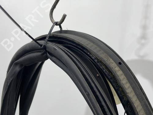 Goma contorno puerta FORD GRAND C-MAX (DXA/CB7, DXA/CEU) 1.6 TDCi | BP30848272C142