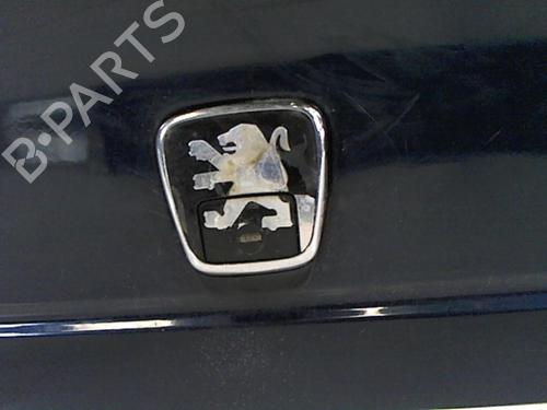 Tailgate PEUGEOT 406 (8B) 1.9 TD | BP20453534C6 