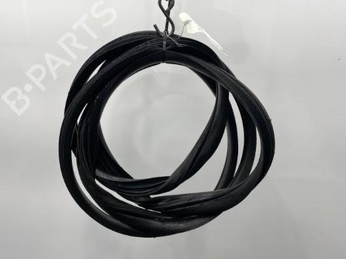 Used Rubber door seal RENAULT CLIO III (BR0/1, CR0/1) 1.6 16V (BR05, BR0B, BR0Y, BR15, BR1J, BR1M, BR1Y, CR0B,... (112 hp) 20394969