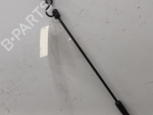 Hood lift support VOLVO C30 (533) 2.0 D | BP21238422C139 