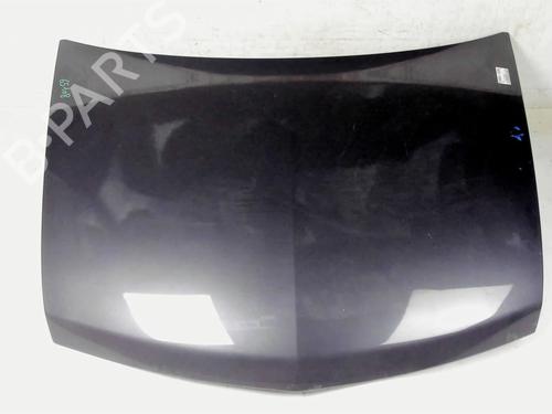 Hood RENAULT VEL SATIS (BJ0_) 2.2 dCi (BJ0E, BJ0F, BJ0G, BJ0H) | BP20421054C1 