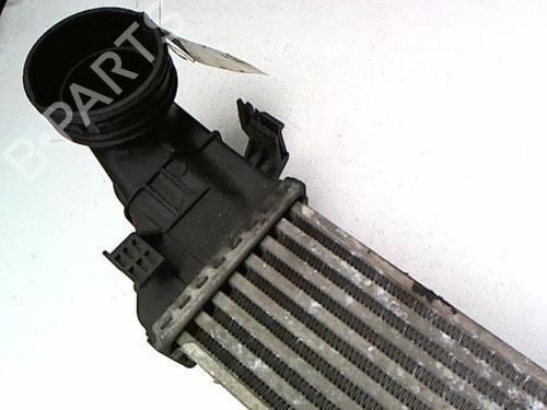 Intercooler MERCEDES-BENZ E-CLASS (W211) E 320 CDI (211.026) | BP20474736M30 