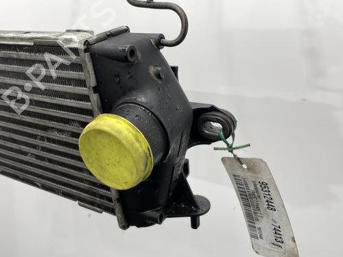 Used Intercooler Intercooler RENAULT TRAFIC II Van (FL) 2.0 dCi 115 (FL01, FL0U, FL00, FL0H, FL0M) (114 hp) 20976211 20976211