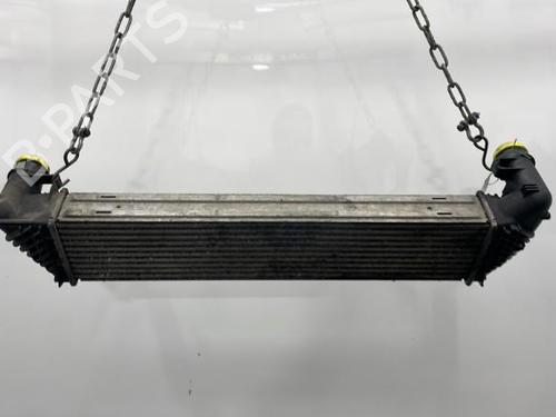 Used Intercooler Intercooler RENAULT ESPACE IV (JK0/1_) 2.0 dCi (JK02, JK03) (131 hp) 20393600 20393600