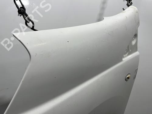 Left front fenders CITROËN JUMPY II Van 2.0 HDi 120 | BP30161779C41