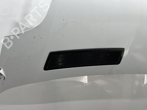 Used Hood Hood RENAULT TRAFIC II Van (FL) 2.0 dCi 115 (FL01, FL0U, FL00, FL0H, FL0M) (114 hp) 33834241 33834241