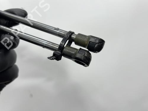 Tailgate lift support FIAT PANDA (312_, 319_) 1.2 (312PXA1A) | BP29491121C138 