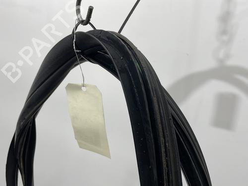 Rubber door seal PEUGEOT 107 (PM_, PN_) 1.4 HDi | BP29760099C142 