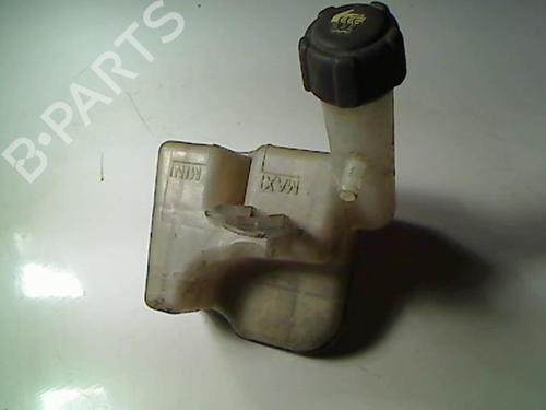 Expansion tank RENAULT LAGUNA II (BG0/1_) 1.9 dCi (BG08, BG0G) | BP20472678C120 