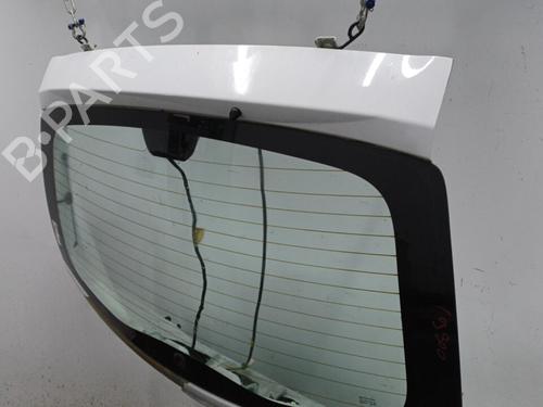 Tailgate DACIA SANDERO 1.4 (BS0C, BS0A, BS0G, BS1F, BS0E) | BP22102411C6 