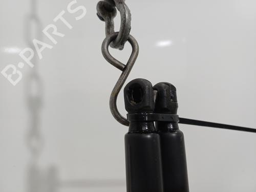 tailgate-lift-support-fiat-500x-334_-2014-36588916 main image