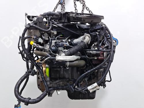 Engine FORD C-MAX II (DXA/CB7, DXA/CEU) 1.6 TDCi | BP40002712M1 - Image 7