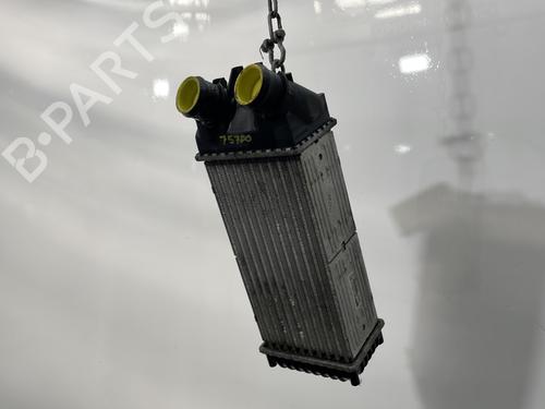 Intercooler PEUGEOT PARTNER MPV (5_, G_) 1.6 HDi 90 | BP30044924M30 