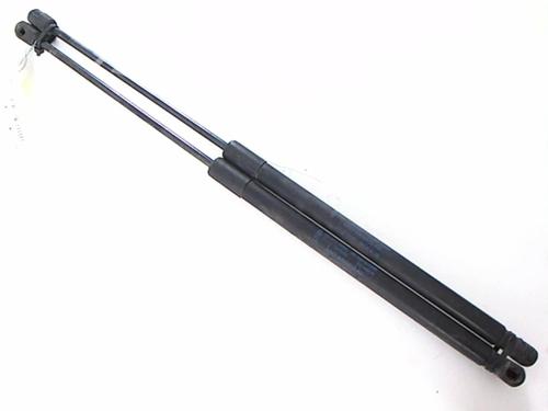 Tailgate lift support FORD FIESTA VI (CB1, CCN) 1.25 | BP20449198C138 