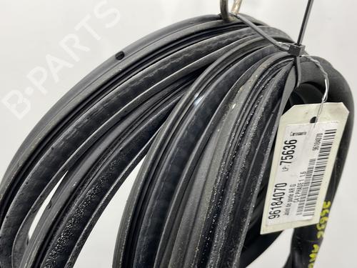 Rubber door seal CITROËN C4 II (NC_) 1.6 HDi 110 | BP21423049C142 