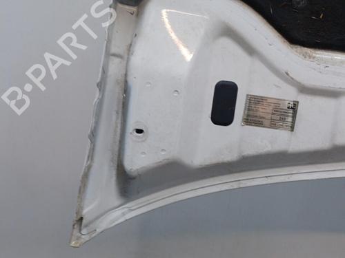 Hood FIAT DOBLO Box Body/MPV (223_) 1.9 JTD (223ZXE1A) | BP22102670C1 