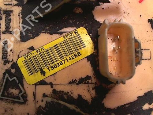 Fuel pump FORD FIESTA VI (CB1, CCN) 1.6 TDCi | BP20479346M76 