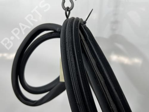 Gummiliste RENAULT ZOE (BFM_) ZOE | BP27163859C142