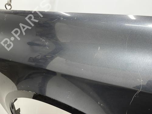 Right front fenders RENAULT LAGUNA II (BG0/1_) 1.9 dCi (BG1A, BG1W, BG0G) | BP20406308C42 