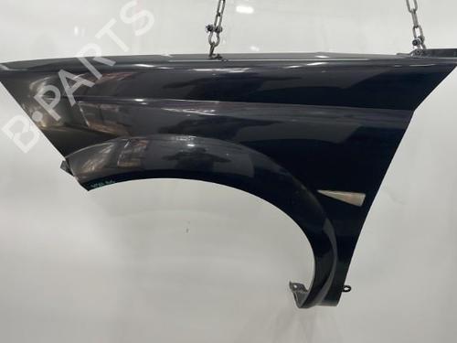 Left front fenders RENAULT MEGANE II Coupé-Cabriolet (EM0/1_) 1.6 16V | BP20419323C41 