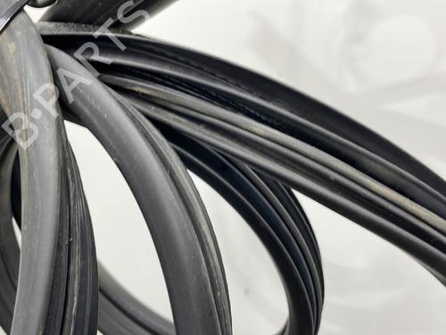 Rubber door seal NISSAN ALMERA TINO (V10) 2.2 dCi | BP20928896C142