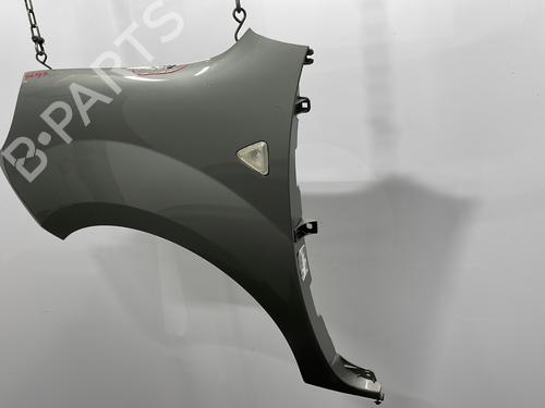 Left front fenders RENAULT KANGOO / GRAND KANGOO II (KW0/1_) 1.5 dCi 90 (KW05, KW08, KW0G, KW11) | BP24596431C41 