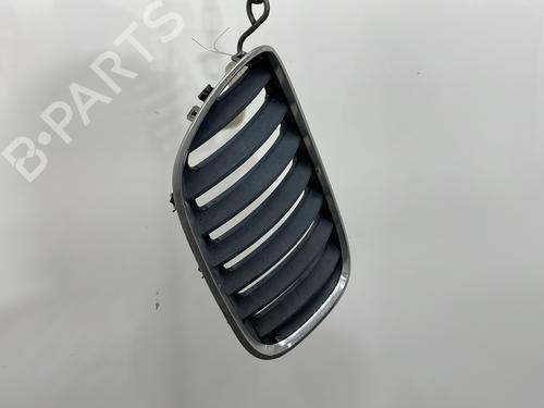 Grille BMW X5 (E53) 3.0 d | BP26642098C40 