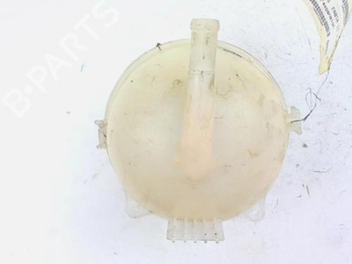 Expansion tank SKODA FABIA II (542) 1.2 | BP20403950C120 