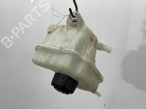 Expansion tank NISSAN QASHQAI / QASHQAI +2 I (J10, NJ10, JJ10E) 1.5 dCi | BP26532522C120 