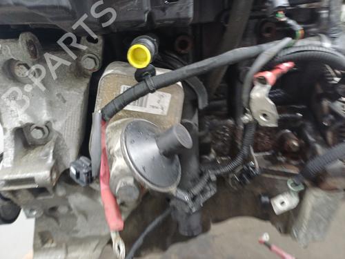 Engine RENAULT MEGANE III Hatchback (BZ0/1_, B3_) 1.5 dCi (BZ09, BZ0D, BZ1W, BZ29, BZ14) | BP36900509M1  - Image 7