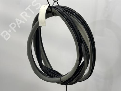 rubber-door-seal-renault-laguna-ii-bg01_-2001-2002-2003-2004-2005-2006-2007-24178086 main image