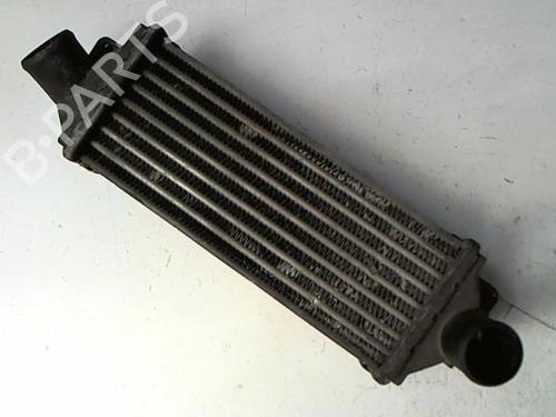 Used Intercooler OPEL ASTRA F Estate (T92) 1.7 TD (F35, M35) (68 hp) 20415059