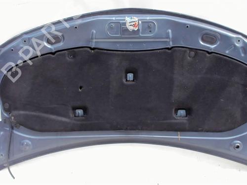 Hood RENAULT CLIO III (BR0/1, CR0/1) 1.5 dCi (C/BR0G, C/BR1G) | BP20409450C1 