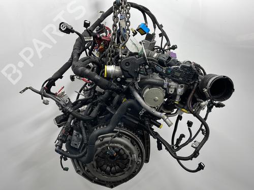 Motor RENAULT KANGOO Express (FW0/1_) 1.5 dCi 95 (FW16) | BP29604030M1 