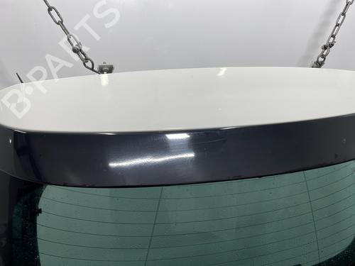 Tailgate CITROËN C4 II (NC_) 1.6 HDi 115 | BP31028060C6 