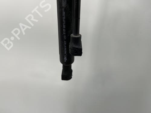 Tailgate lift support RENAULT ZOE (BFM_) ZOE | BP25122705C138