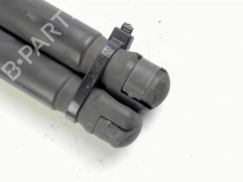 Tailgate lift support VW UP! (121, 122, BL1, BL2, BL3, 123) 1.0 | BP20391555C138 