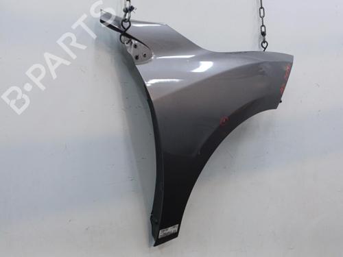 Used Right front fenders RENAULT MEGANE III Hatchback (BZ0/1_, B3_) 1.5 dCi (106 hp) 22102677