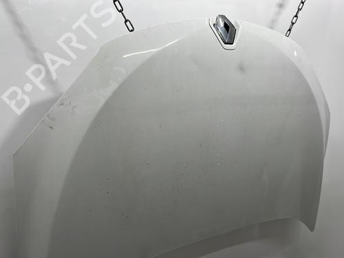 Hood RENAULT MEGANE III Coupe (DZ0/1_) 1.9 dCi (DZ0N, DZ0J, DZ1J, DZ1K) | BP29514082C1 