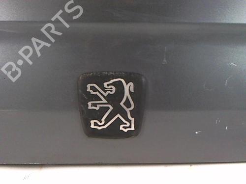 Tailgate PEUGEOT 605 (6B) 2.1 Turbo Diesel | BP20478222C6 